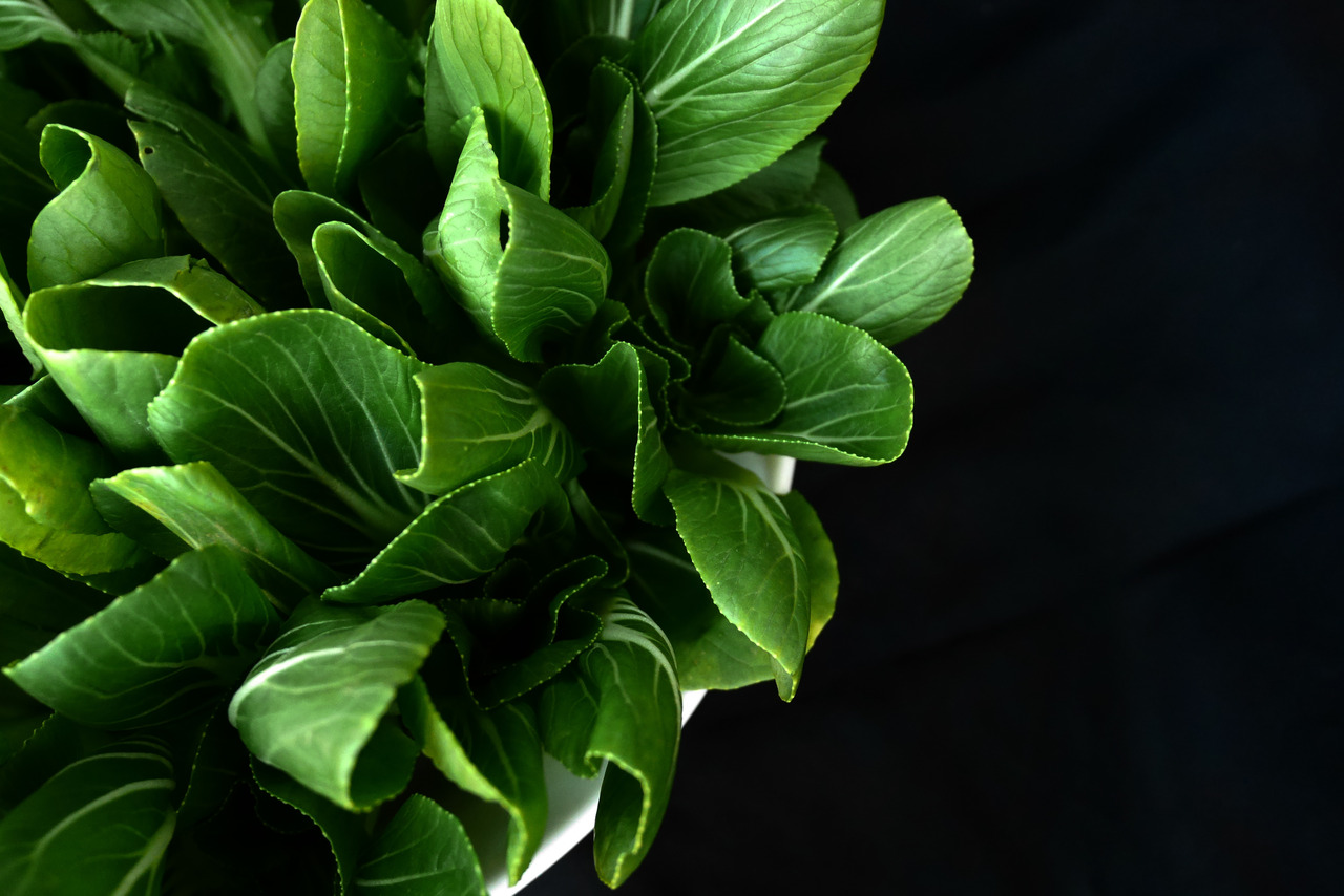 Chinese cabbage by A&j Global Fresh Produce Ltd 